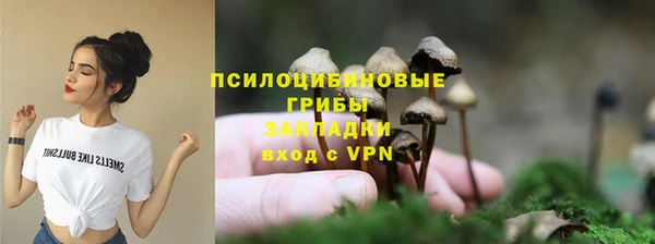 молекула духа Армянск