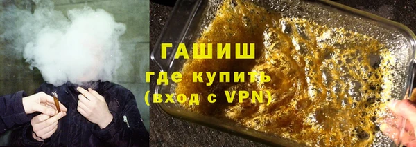 гашик Пересвет